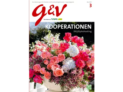 gestalten & verkaufen - Ausgabe 2025/03
