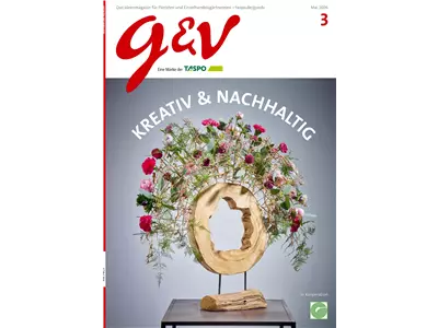 gestalten & verkaufen - Ausgabe 2026/03